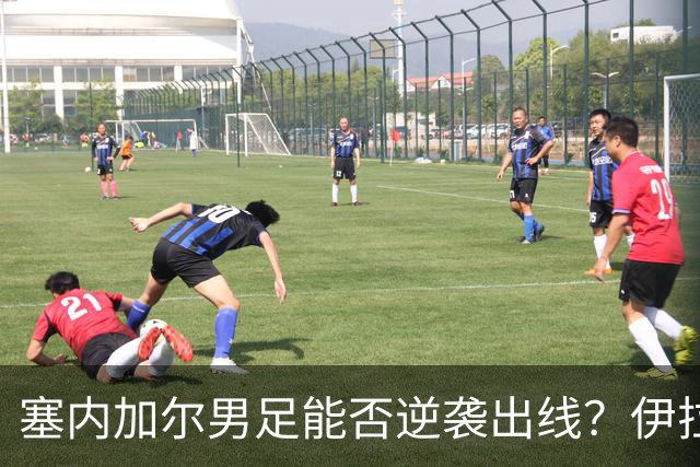 塞内加尔男足能否逆袭出线？伊拉克队同样有机会！